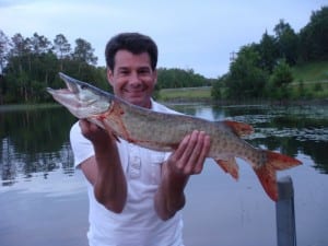 Walleye